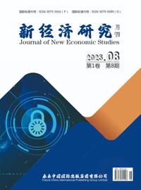新经济研究